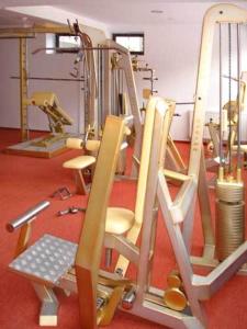 a gym with a group of chairs in a room at Hotel Regina in Sinaia