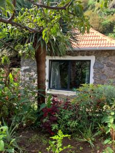 Zahrada ubytování Pico Paraiso Madeira