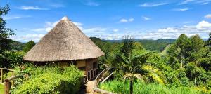 a small hut with a straw roof in a forest at Agandi Uganda Eco-lodges in Bwindi