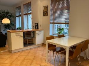 Kuchyň nebo kuchyňský kout v ubytování Großes und helles Innenstadt Apartment - Ferienwohnung