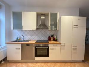 Kuchyň nebo kuchyňský kout v ubytování Großes und helles Innenstadt Apartment - Ferienwohnung