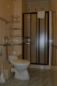 a bathroom with a toilet and a shower stall at Apollo Motel in Kecskemét