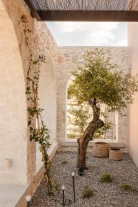 Zahrada ubytování Kerami Kefalonia