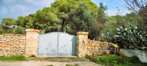Zahrada ubytování Villa Maria in Puglia con pineta vicino al mare