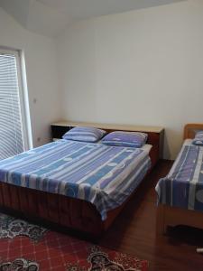 a bedroom with a bed with blue sheets and a window at ENGIN APARTMENT in Struga