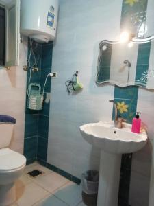 a bathroom with a sink and a toilet at Panda House in Alexandria +33 photos
