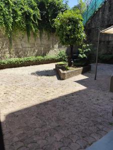 a shadow of a tree on a brick patio at Joli studio avec cour intérieure in Aix-les-Bains