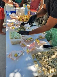 Cibo presso l'appartamento o nelle vicinanze