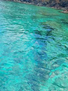 Paesaggio naturale nelle vicinanze dell'appartamento