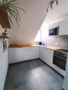 Kuchyň nebo kuchyňský kout v ubytování Ferienwohnung Scheib Aspach