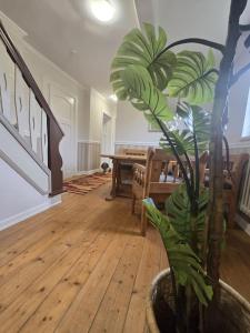 a living room with a potted plant and a table at Hildas romantische Ferienwohnung in Gödenstorf