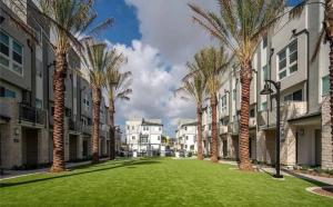 a row of palm trees in a courtyard with houses at 1311WCara in Anaheim