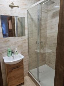 a bathroom with a shower and a sink at Apartament mieszkanie do wynajęcia Justyna in Walim