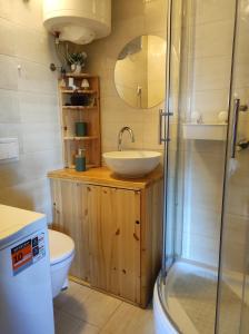 a bathroom with a sink and a shower at Mrežnica - Zelena oaza in Generalski Stol +37 photos