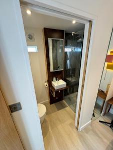a bathroom with a toilet and a sink and a mirror at Keeley House in Exeter +37 photos