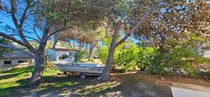 a boat parked in a yard next to trees at T3 Paradisiaque sur la plage, les pieds dans l'eau in Olmeto +59 photos