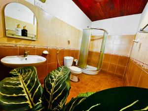 a bathroom with a sink and a toilet and a shower at Greenmoret AgriTourism Villa in Bandarawela