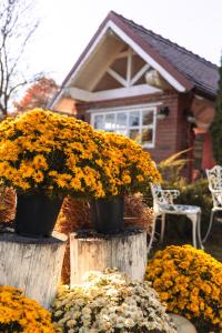 two pots of flowers on logs in front of a house at PENSIUNE RESTAURANT POIANA AVRIGULUI loc de joaca pentru copii in Avrig