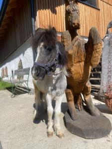 Zwierzęta zatrzymujące się w obiekcie Schmiedlenz