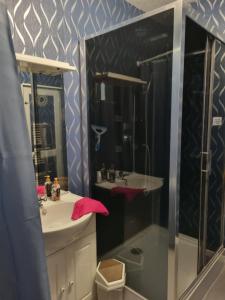 a bathroom with a sink and a shower at appartement centre ville in Salbris +18 photos