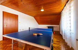 Stolní tenis v ubytování Five-Bedroom Holiday Home In Suhovare nebo okolí