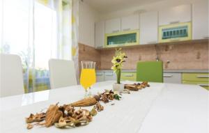 Kuchyň nebo kuchyňský kout v ubytování Five-Bedroom Holiday Home In Suhovare