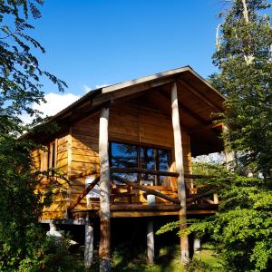 トルウインにあるCABAÑAS LOS ARÁNDANOSのギャラリーの写真