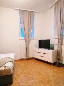a bedroom with a bed and a television on a dresser at Ferienwohnung Dehn in Goslars Altstadt I Stylistisch mit Parkmöglichkeiten in Goslar +18 photos