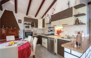 Kuchyň nebo kuchyňský kout v ubytování Holiday Home Gradina Iv