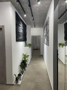 Φωτογραφία από το άλμπουμ του Bergamo Downtown στο Μπέργκαμο