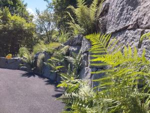 Φωτογραφία από το άλμπουμ του Chalet Vosges La Bresse σε La Bresse