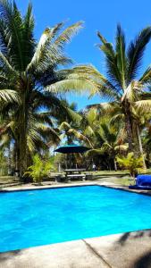 MezcalesにあるRancho Scarlettのヤシの木が背景に広がる青いスイミングプール