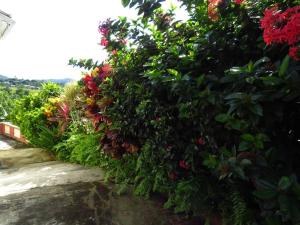 Um jardim no exterior de Herelle's Eden