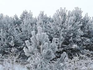 Bellevue Beam House v zimě + 32 fotografií