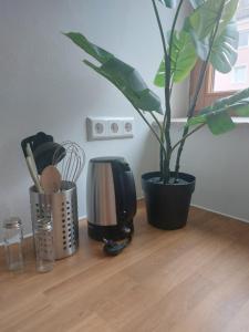 a plant sitting on a counter next to a toaster at Rooftop Apartments - Stillvolles Apartment 4P nahe Glacis Center in Neu Ulm