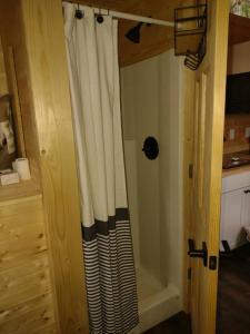 a bathroom with a shower curtain next to a door at Tiny Home Big View in Knoxville +13 photos