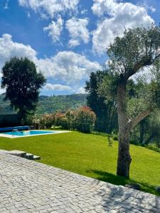 ein Baum im Gras neben einem Pool in der Unterkunft Casa da nascente douro in Paços de Gaiolo