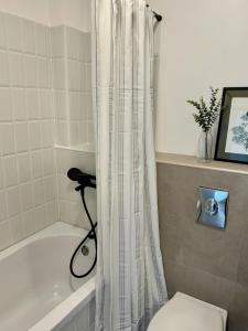 a bathroom with a shower curtain and a toilet at Tornik view villa Zlatibor in Ribnica +18 photos