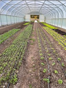 Photo de la galerie de l'établissement Key Cottage, à Boyle