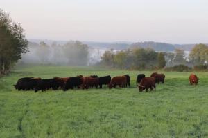 Photo de la galerie de l'établissement Key Cottage, à Boyle 40 autres photos