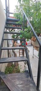 Una escalera de madera al lado de un árbol al lado de un edificio. en Hospedaje Don Hilario, en Gobernador Gregores