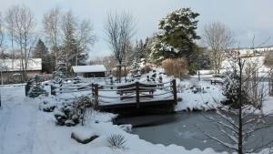 a pond in a garden covered in snow at Sportpenzion Pohoda in Pilsen