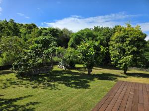 Un jardín fuera de Villa Spa