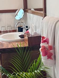 a bathroom with a sink and a mirror at Naveria Heights Lodge in Savusavu