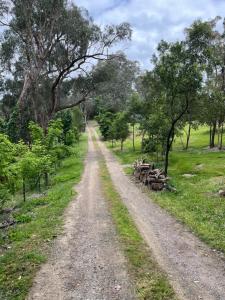 WarrandyteSpacious 4 bed, 2 lounge, 2 bath, Acre home with tree top views - Yarra Valley Gateway!的一条土路,一边有一堆木头