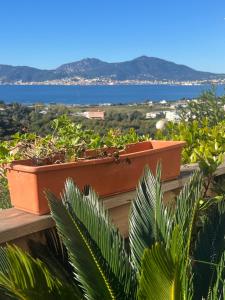 波尔蒂乔Charmant appartement refait à neuf vue mer的相册照片