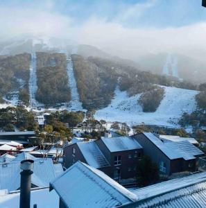 斯瑞德伯Banjo 3 Chalet - Magnificent view and great location的一座有雪盖屋顶的城镇和一座山