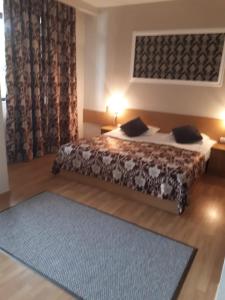 Afbeelding uit fotogalerij van Hotel Perla in Satu Mare