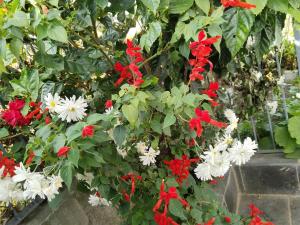 Giardino di Kathmandu Airport View Hotel And Lodge