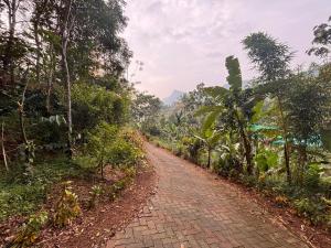 Zahrada ubytování Casa Grande Homestay Anaviratty Munnar